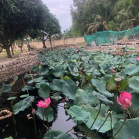 Bán Nhà Nghỉ Homestay 3 Sào Ở Biển Lagi, Bình Thuận Giá Rẻ