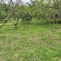 Đất Nền Bán Tại Xã Tiến Xuân, Thạch Thất, Hà Nội, Giá Thỏa Thuận, 1800M2