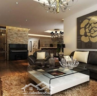 Hot, Cho Thuê Ch Hong Kong Tower,Diện Tích41M2 - 400M2, 1 Phòng Ngủ- 4 Phòng Ngủ Giá Từ 14 Triệu/Tháng Liên Hệ: 0919863630