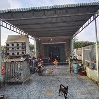 Bán 20X50M2 , 100M2 Thổ Cư, Xã Tân Hiệp, Long Thành. 0988960805. Mr. Hùng