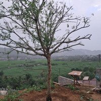 Mảnh Đất Phù Hợp Chữa Lành, Nâng Tầm Cuộc Sống Nơi Thiên Nhiên