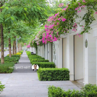 Bán Bt Có Hầm 4 Phòng Ngủ 4Vs, 132M2 Tại An Lạc Green Symphony, 26,5 Tỷ, Hoài Đức, Hà Nội