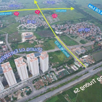 Cần Chuyển Nhượng 80M Đất Tái Định Cư Đông Hội Và Mai Lâm Đường Trước Đất 40M