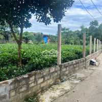 Đất Đẹp Và Rẻ Tại Ba Vì. 720 M Mặt Tiền 28 M. Giá Chỉ Hơn 2 Tỷ. Cạnh Trung Tâm . Giao Thông Thuận