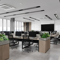 Duy Nhất! Villa Phố Ẩm Thực Phan Xích Long - Hoa Mai, Pn - (8 X 16M - Cn: 144M2) - 4T - Giá Bán 60 Tỷ