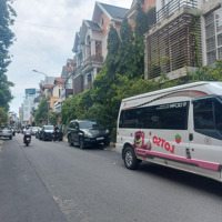 Duy Nhất! Villa Phố Ẩm Thực Phan Xích Long - Hoa Mai, Pn - (8 X 16M - Cn: 144M2) - 4T - Giá Bán 60 Tỷ