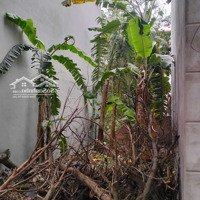 Bán Đất Tân Trại, Phú Cường, Sóc Sơn, Hà Nội.