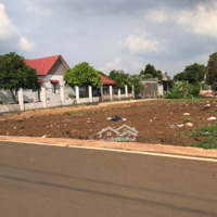Cho Thuê Kho, Nhà Xưởng, Đất Tại An Lộc - An Phúc, 110 Triệu, 1000 M2, Hàng Hiếm Tại Đẹp