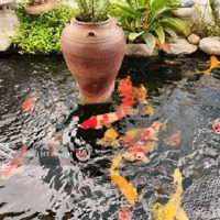 Bán Nhà Mặt Phố Bạch Mai Kinh Doanh Siêu Hiếm 9 Tầng 397M2-230 Tỷ
