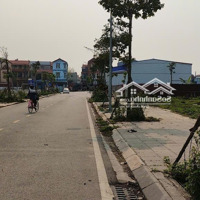 Bán Lô Đất Đấu Giá Viên Nội Vân Nội, Đông Anhdiện Tích108M2 Hướng Đông Mát Mẻ