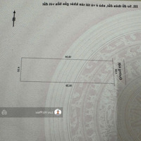Bán Đất Kiệt Ô Tô Tô Hiệu 82M² Vuông Vức, Giá Rẻ Nhất Khu Vực!