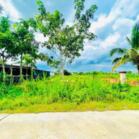 Bán Đất Tại Võ Thị Bàng, 25 Triệu / M2, 500M2, Pháp Lý Đầy Đủ, Củ Chi, Hcm