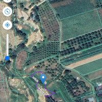 Cam An Nam - 942 M2 - Giá Chỉ 180 Triệu