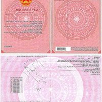 Cam An Nam - 942 M2 - Giá Chỉ 180 Triệu