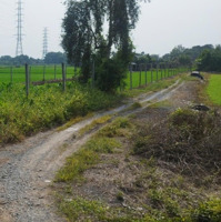 1000M2 Đất Trồng Cây Mặt Tiền Xã Bình Mỹ Giá Chỉ 2.5 Tỷ