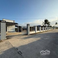 Cam An Nam - 1982 M2 - 120 M Mặt Tiền - Có Nhà Cấp 4 - Vườn Cây Ăn Trái - Giá Chỉ 2 Tỷ 100