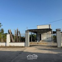 Cam An Nam - 1982 M2 - 120 M Mặt Tiền - Có Nhà Cấp 4 - Vườn Cây Ăn Trái - Giá Chỉ 2 Tỷ 100