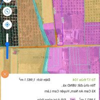 Cam An Nam - 1982 M2 - 120 M Mặt Tiền - Có Nhà Cấp 4 - Vườn Cây Ăn Trái - Giá Chỉ 2 Tỷ 100