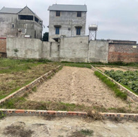 Bán Đất 75M² Vị Trí Siêu Tiềm Năng Tại Yên Ninh, Sóc Sơn. Chỉ 29 Triệu