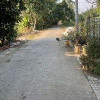 Bán Đất Mỹ Tân, 1,9 Tỷ, 6000 M2, Pháp Lý Đầy Đủ
