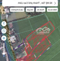 Bán Đất Mỹ Tân, 1,9 Tỷ, 6000 M2, Pháp Lý Đầy Đủ