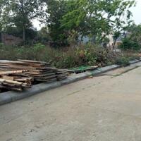 Bán đất Quang Tiến, Sóc Sơn 83m2, MT 4.5m đường thông hai ôtô tránh giá nhỉnh 2 tỷ