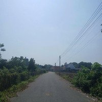 Bán Gấp Vườn Sầu Riêng Ngay Dh507, Đúng Giá Bán 990 Triệu - Shr