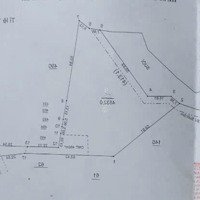 Bán Gấp Vườn Sầu Riêng Ngay Dh507, Đúng Giá Bán 990 Triệu - Shr