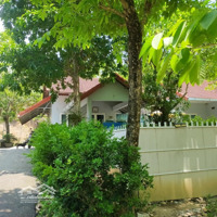 Bán Rẻ Nhà Vườn Mát Mẻ Dành Cho Nghỉ Dưỡng Hoặc Nhà Vườn Có Sẵn 3 Nhà Yến Đang Khai Thác Ổn Định