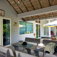 Bán Rẻ Nhà Vườn Mát Mẻ Dành Cho Nghỉ Dưỡng Hoặc Nhà Vườn Có Sẵn 3 Nhà Yến Đang Khai Thác Ổn Định