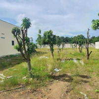 Cho Thuê Đấtdiện Tích4000M2 Skc Xây Dựng Xưởng Giá Bán 60 Triệu Đức Hòa Long An