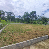 Chính Chủ Bán Hơn 600M2 Đất Lô Góc, Sổ Chính Chủ Thôn Triu, Điền Lư, Bá Thước, Thanh Hoá 0967522585