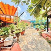 Cho Thuê Biệt Thự Sân Vườn Khu Tấn Trường - Q7. Có Hồ Bơi, An Ninh Cực Tốt Giá Chỉ 55 Triệu