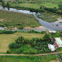 Đất Xây Nhà Vườn View Cánh Đồng Hòa Bắc, 1115M2 Có 600M2 Đất Ở, Gần Sông Cu Đê.