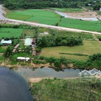 Đất Xây Nhà Vườn View Cánh Đồng Hòa Bắc, 1115M2 Có 600M2 Đất Ở, Gần Sông Cu Đê.
