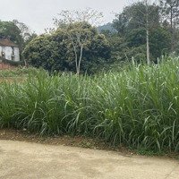 Tôi Cần Bán Mảnh Đất 783M2 Tại Xóm Tây Ninh Xã Sen Phương Huyện Phúc Thọ Hà Nội Mặt Tiền 20M