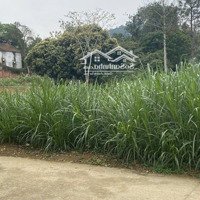 Tôi Cần Bán Mảnh Đất 783M2 Tại Xóm Tây Ninh Xã Sen Phương Huyện Phúc Thọ Hà Nội Mặt Tiền 20M