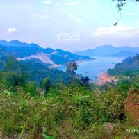Bán Đất View Hồ Đẹp Nhất Tại Xã Hiền Lương, Đà Bắc, Hòa Bình.