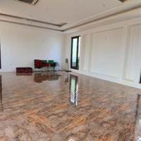 Cho Thuê Nhà Mặt Phố Kim Ngưu, Gần Times City, 120M² X 5 Tầng,Mặt Tiền5.5M, Mọi Mô Hình Kinh Doanh