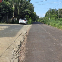 Cho Thuê Kho, Nhà Xưởng 1000M2 Tại Đ.b1, P Tân Xuân, Đồng Xoài, Bình Phước Chỉ Với 45 Triệu