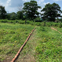 Bán Đất Kdc An Hoà, Phường An Hoà, Tp Biên Hoà, Đồng Nai Giá Bán 1,379 Tỷ Đồng