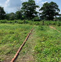 Bán Đất Kdc An Hoà, Phường An Hoà, Tp Biên Hoà, Đồng Nai Giá Bán 1,379 Tỷ Đồng