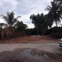Bán Đất Ven Sông Tam Kỳ. View Vườn Hoa Sưa Thành Phố