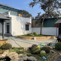 Chính Chủ Bán 500M2 Biệt Thự Nhà Vườn Tại Bình Yên, Thạch Thất, Hà Nội.
