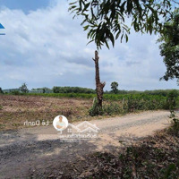 Định Cư Nước Ngoài Cần Bán Gấp Đất Gần Sân Bay Long Thành 12000M2 Giá Rẻ Chỉ 3, 5 Triệu/M2