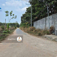 Định Cư Nước Ngoài Cần Bán Gấp Đất Gần Sân Bay Long Thành 12000M2 Giá Rẻ Chỉ 3, 5 Triệu/M2