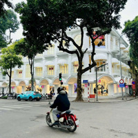 Cho Thuê Mặt Bằng Kinh Doanh Mặt Phố Đỗ Đình Thiện Mặt Tiền 12M, Diện Tích Lớn, Vị Trí Đắc Địa