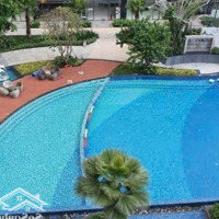 Bán Gấp Ch Jamila Khang Điền, 4,15 Tỷ, 70M2, 2 Phòng Ngủ 2 Vệ Sinhtại Quận 9, Hcm
