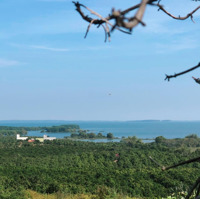 Bán Đất Tại Xã La Ngà, Định Quán, Đồng Nai, 2,1 Tỷ, 6563 M2, Chính Chủ
