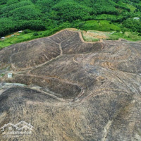 Cần Bán 83.000M2 Đất Trồng Cây Lâu Năm. Mặt Tiền Đường Vành Đai Nam Kì Khởi Nghĩa Nối Dài